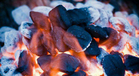 جالب ترین دانستنی های علمی