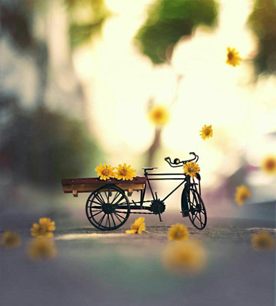 حقایقی که حالتان را خوب می کند