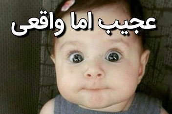 عجیب اما واقعی!