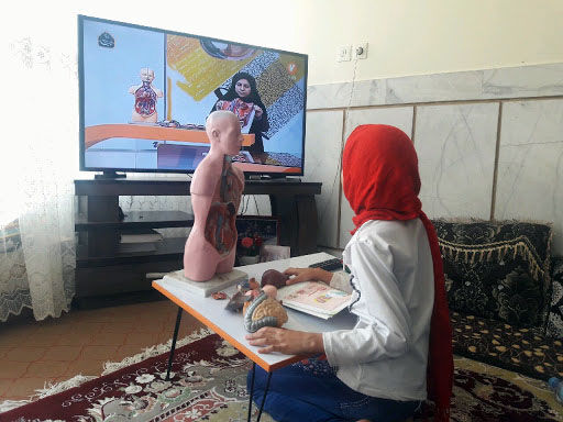 آموزش از راه دور اولویت اصلی کشورها در سال تحصیلی آینده است