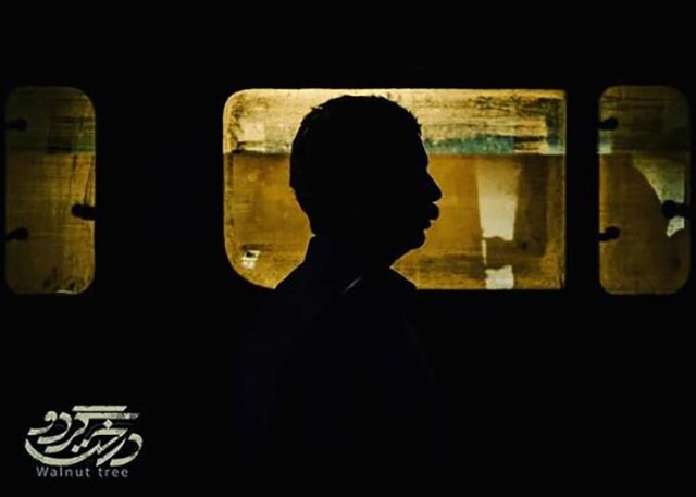 فیلم «درخت گردو» یکی از گزینه‌های معرفی به اسکار است؟