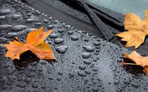 بارش ها در پاییز کم خواهد بود