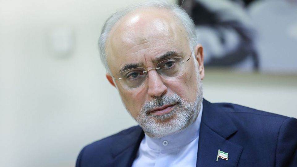 صالحی: اگر تا ۳ ماه تحریم ‎ها لغو نشود دوربین‎ های آژانس جمع می ‎شود