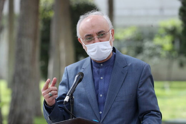 صالحی: روحانی سینه خود را سپر بلای کشور و انقلاب کرد