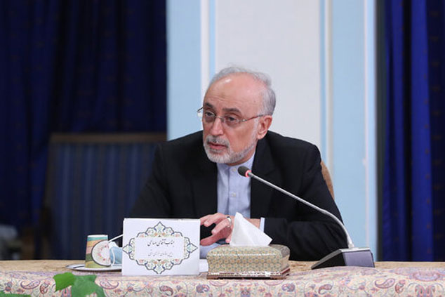 صالحی: ظریف یک برند بین‌المللی برای ایران است