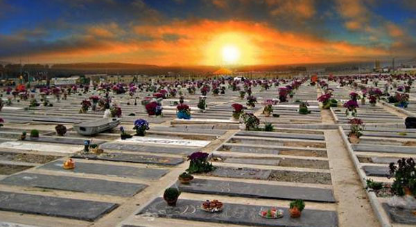 تمهیدات بهشت زهرا (س) برای پنج‌شنبه و جمعه پایانی سال