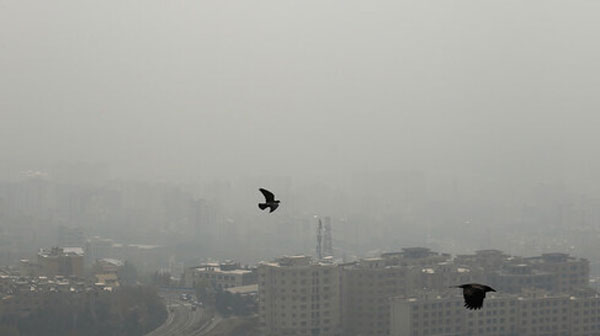 هوای تهران؛ ناسالم برای همه گروه‌ها