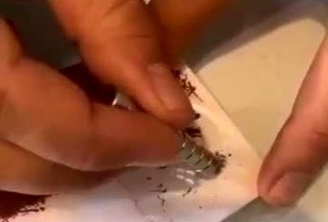 ماجرای براده‌های آهن در بسته زعفران چه بود؟