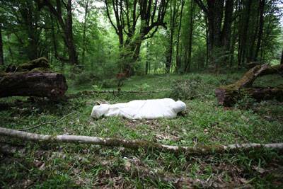 مرگ طبیعت، مرگ انسان