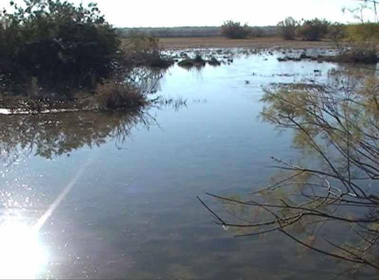 عروس تالاب‌های شمال‌غرب ایران کجاست؟