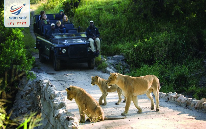 10 واقعیت جالب از ژوهانسبورگ در تور آفریقای جنوبی