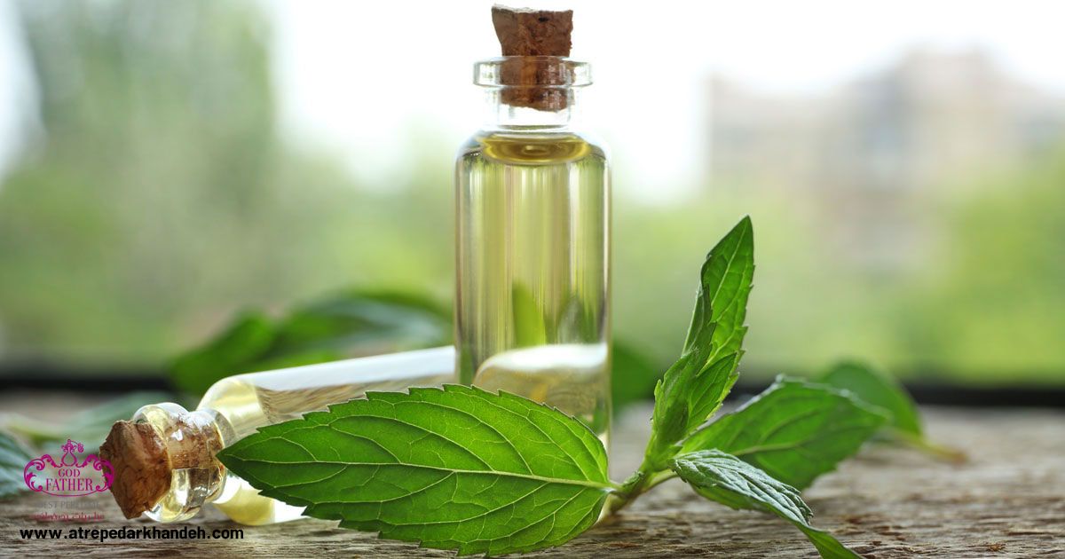 5 قانون طلایی برای ماندگاری عطر و اسانس