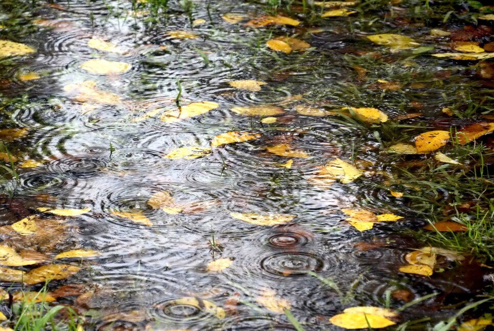 کاهش ۷ تا ۱۲ درجه ای دما در نوار شمالی کشور