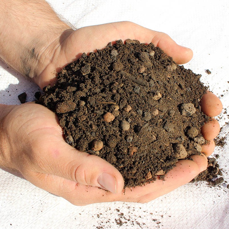 نگهداری گیاهان آپارتمانی؛ اصول، روش‌ها و شرایط ایده‌آل برای رشد سالم گیاهان در خانه