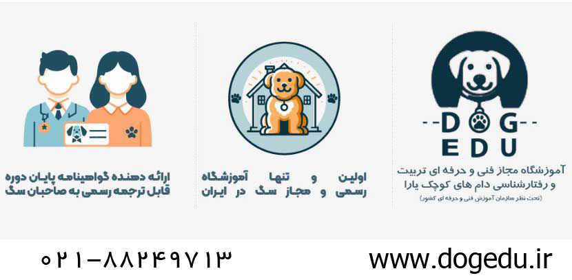 معرفی مرکز تخصصی مجاز اعزام مربی سگ به منزل در تهران