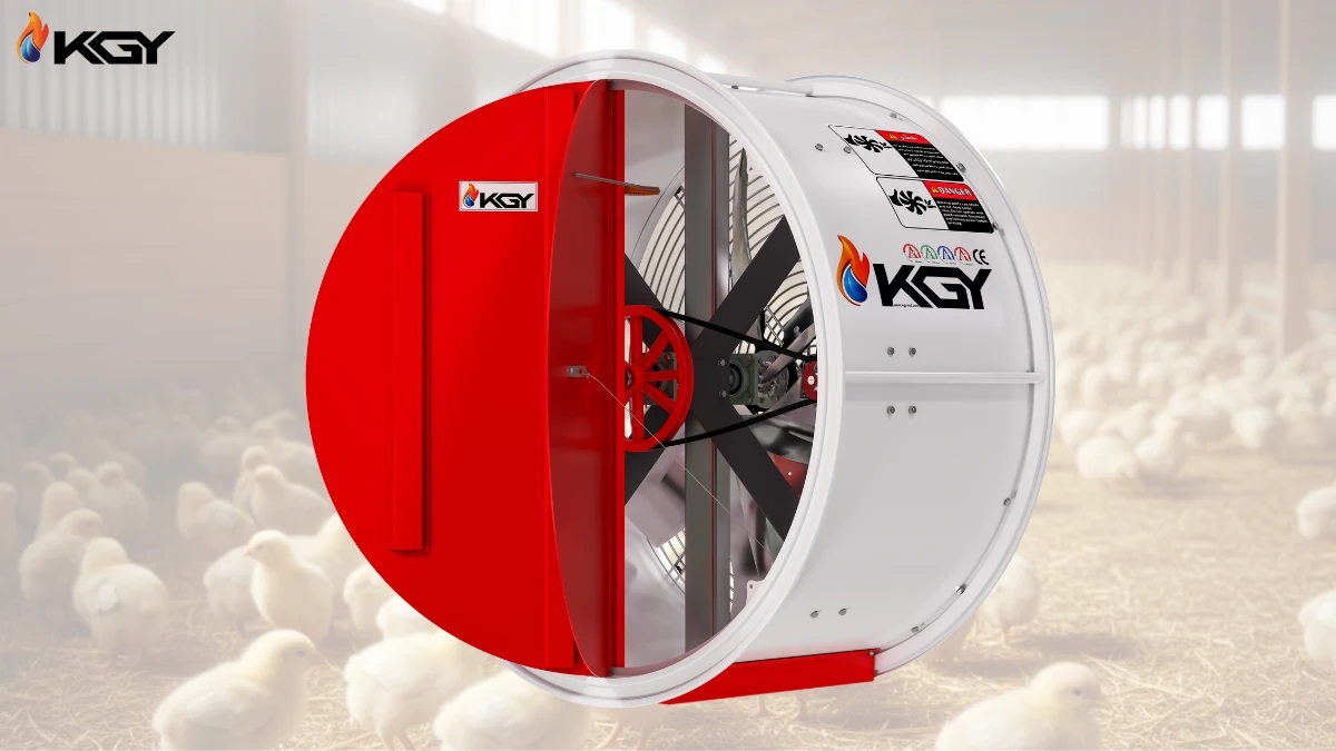 فن مرغداری پیشرفته و بادوام | راه‌حل تهویه حرفه‌ای مرغداری‌ها