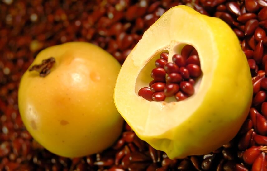 از مزایا و خواص دانه به و دمنوش آن چه می‌دانید؟